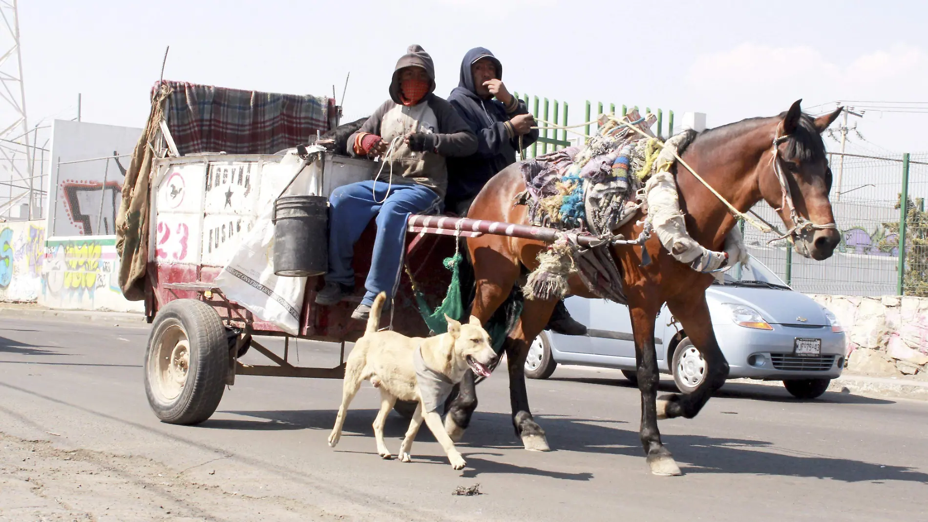 Carreta caballo